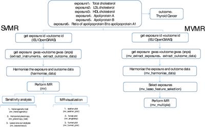 Assessment of causal association between differentiated thyroid cancer and disordered serum lipid profile: a Mendelian randomization study